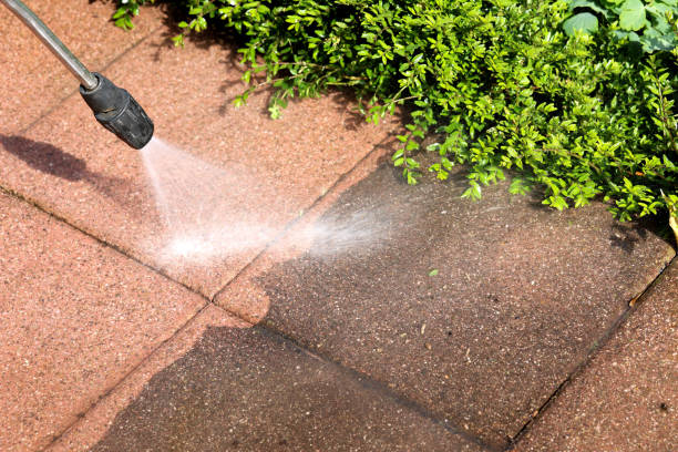 Best Power Washing Near Me  in Taylorsville, KY